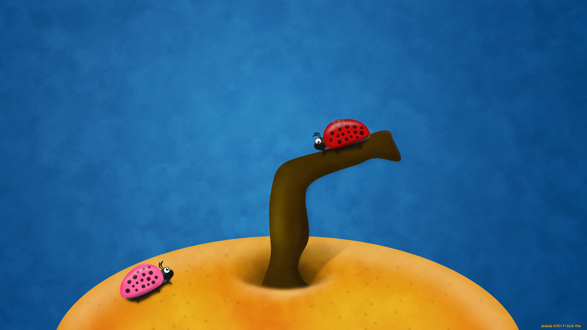 ��������� �������, ��������, �����, �������, ������